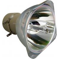 Лампа/фильтр BenQ 5J.J6D05.001 Diawest
