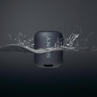 Акустична система SONY SRS-XB12 Black (SRSXB12B.RU2) Diawest