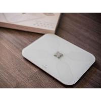 Весы S3 Lite Diawest