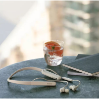 Гарнітура Sony WI1000XM2S.CE7 Diawest