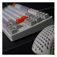 Клавіатура XG-K4-RGB-TKL-RETRO-RUKR Diawest