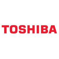 Тонер-картридж TOSHIBA T-4530E 30K BLACK (6AJ00000191) Diawest