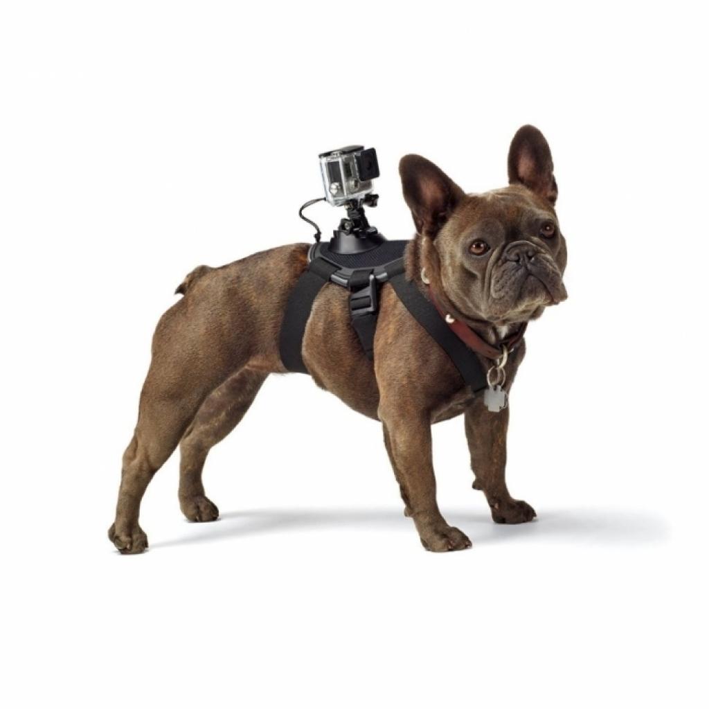 Аксесуар до екшн-камер GoPro Fetch (ADOGM-001) Diawest