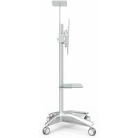 Стойка презентационная для плазм и ЖК CHARMOUNT CT-FTVS-T17 Diawest