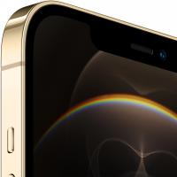Мобильный телефон Apple iPhone 12 Pro Max 512Gb Gold (MGDK3FS/A | MGDK3RM/A) Diawest