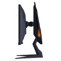 Монитор GIGABYTE AORUS FI25F-EK (FI25F-EK) Diawest