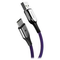 Дата кабель Baseus USB 2.0 AM to Type-C 1.0m Purple (CATXD-A05) Diawest