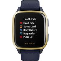 Смарт-часы Garmin Venu Sq, Music, Navy/Light Gold (010-02426-12) Diawest