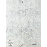 Папка на резинках Axent A4 420 мкм BBH 08 (1509-08-A) Diawest