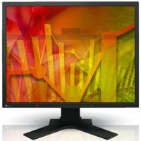 Монитор Eizo S2133-BK Diawest