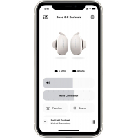 Наушники Bose QuietComfort Earbuds Soapstone (831262-0020) Diawest