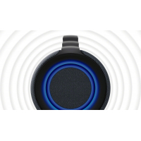 Акустическая система Sony SRS-XG500 Black (SRSXG500B.RU4) Diawest