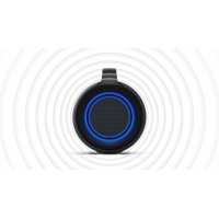 Акустическая система Sony SRS-XG500 Black (SRSXG500B.RU4) Diawest