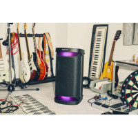 Акустическая система Sony SRS-XP500 Black (SRSXP500B.RU1) Diawest