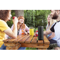 Акустическая система Trust Caro Max Powerful Bluetooth Speaker Black (23833) Diawest