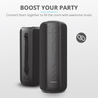 Акустическая система Trust Caro Max Powerful Bluetooth Speaker Black (23833) Diawest