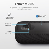 Акустическая система Trust Caro Max Powerful Bluetooth Speaker Black (23833) Diawest