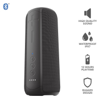 Акустическая система Trust Caro Max Powerful Bluetooth Speaker Black (23833) Diawest
