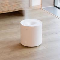 Увлажнитель воздуха Xiaomi SmartMi Humidifier White (JSQ01ZM) Diawest