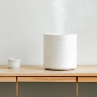 Увлажнитель воздуха Xiaomi SmartMi Humidifier White (JSQ01ZM) Diawest