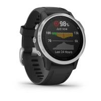 Смарт-годинник Garmin Fenix 6S Silver with Black Band (010-02159-01) Diawest