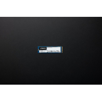 Накопичувач SSD M.2 2280 250GB Kingston (SNVS/250G) Diawest