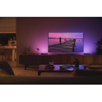 Умная лампочка Philips Hue Play, 2000K-6500K, RGB, ZigBee, димування, базовий комплект, блок ж (915005939101) Diawest