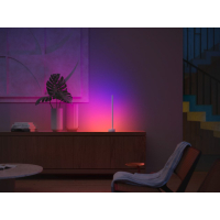 Розумна лампочка Philips Hue Signe, 2000K-6500K, RGB, Gradient, ZigBee, димування, 55см, білий (915005986901) Diawest