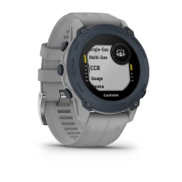 Смарт-годинник Garmin Descent G1, Dive Computer, Powder Gray, GPS (010-02604-11) Diawest