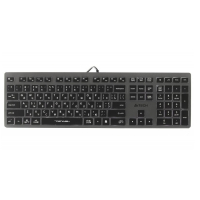 Клавіатура A4Tech FX60H USB Grey White backlit (FX60 USB Grey White backlit) Diawest