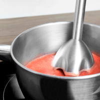 Блендер Cecotec CCTC-04064 Diawest