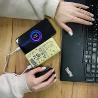 Батарея універсальна Mibrand 10000 mAh 4.5.0 Desert Wolf (8592112002017) Diawest
