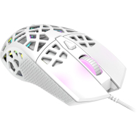 Мышка Canyon Puncher GM-20 USB White (CND-SGM20W) Diawest