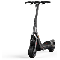 Электросамокат Segway Ninebot GT1E Black (AA.00.0012.41) Diawest
