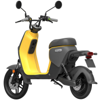 Электроскутер Segway Ninebot B110S Yellow/Dark Grey (AA.50.0004.05) Diawest