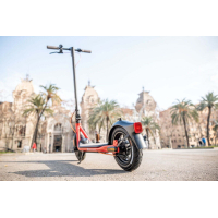 Электросамокат Segway Ninebot D38E, Black/Red (AA.00.0012.06) Diawest