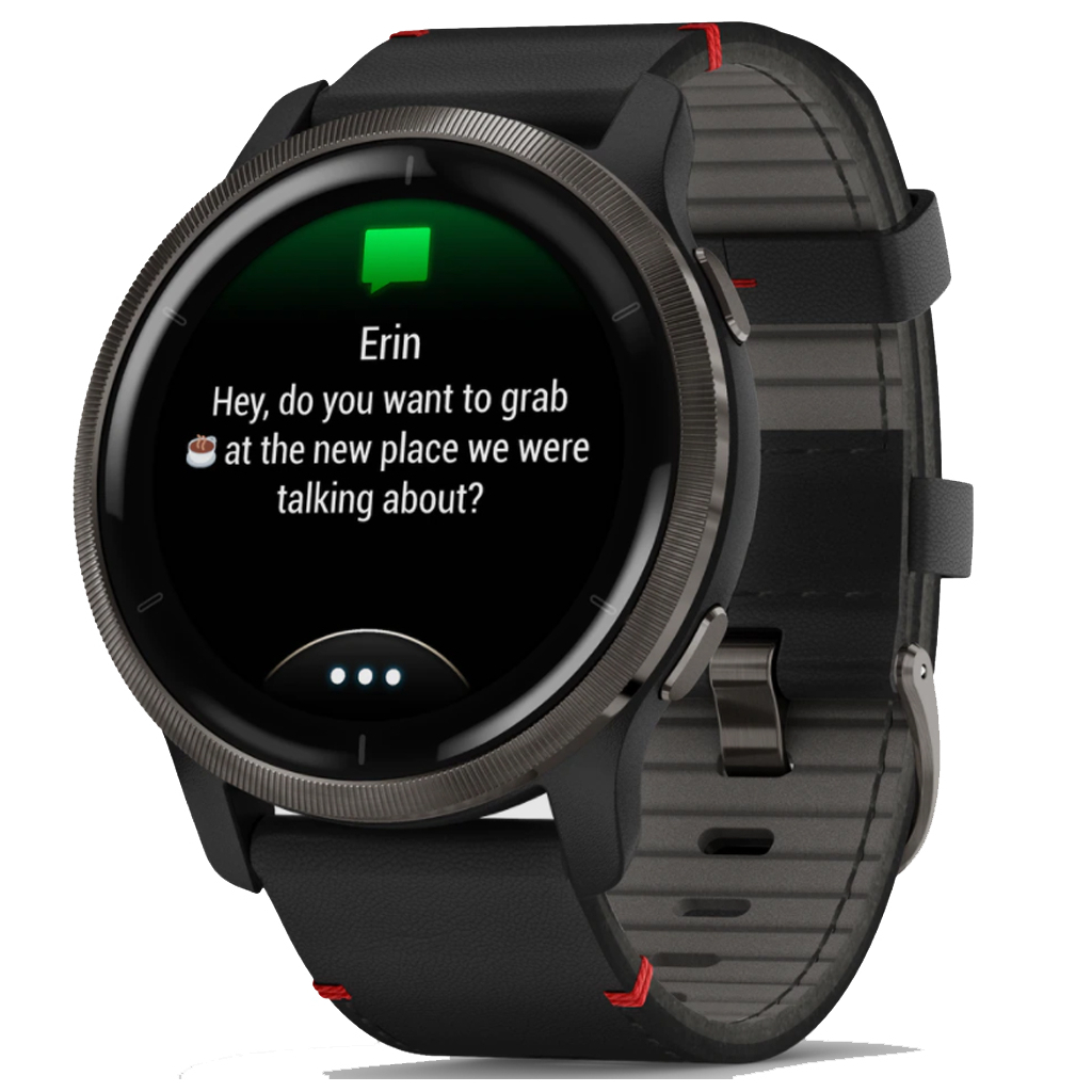 Смарт-часы Garmin Venu 2, GPS, Wi-Fi, Black + Slate, Leather, GPS (010-02430-21) Diawest
