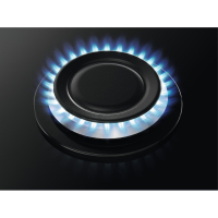 Варочная поверхность Zanussi ZGO68410BA Diawest