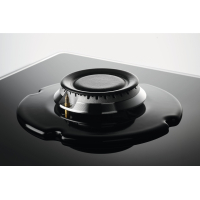 Варочная поверхность Zanussi ZGO68410BA Diawest