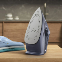 Праска Electrolux E6SI1-4MN Diawest