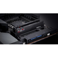 Модуль памяти для компьютера DDR5 32GB (2x16GB) 6000 MHz Flare X5 G.Skill (F5-6000J3038F16GX2-FX5) Diawest