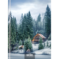 Блокнот Optima Nature of Ukraine: озеро А4, тверда обкл. 96 аркушів, клітинка (O20378-12) Diawest