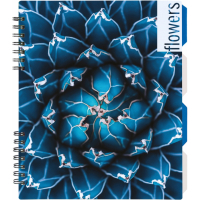 Блокнот Optima Flowers, B5 з розділювачами 120 аркушів, клітинка (O20356-14) Diawest