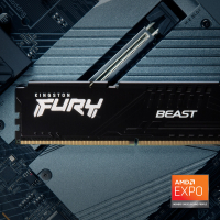 Модуль пам'яті для комп'ютера DDR5 16GB (2x8GB) 5600 MHz Beast Kingston Fury (ex.HyperX) (KF556C36BBEK2-16) Diawest