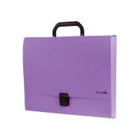 Папка - портфель Economix пластиковый A4 на застежке 1 отделение, фиолетовый (E31607-12) Diawest