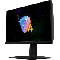 Монітор MSI OCULUX NXG253R Diawest