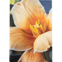 Книга записная Axent Flora А4 в твердом переплете 192 листа клетка, желтая (8423-27-A) Diawest