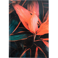 Книга записна Axent Flora А4 у твердій обкладинці 192 аркуші клітинка, поморанчева (8423-28-A) Diawest