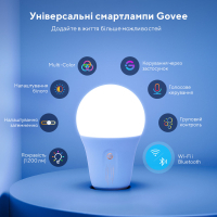 Лампочка Govee Smart WifiBLE Light Bulb Білий (H60093C1) Diawest