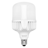 Лампочка Delux BL 80 30w 4000K (90020575) Diawest